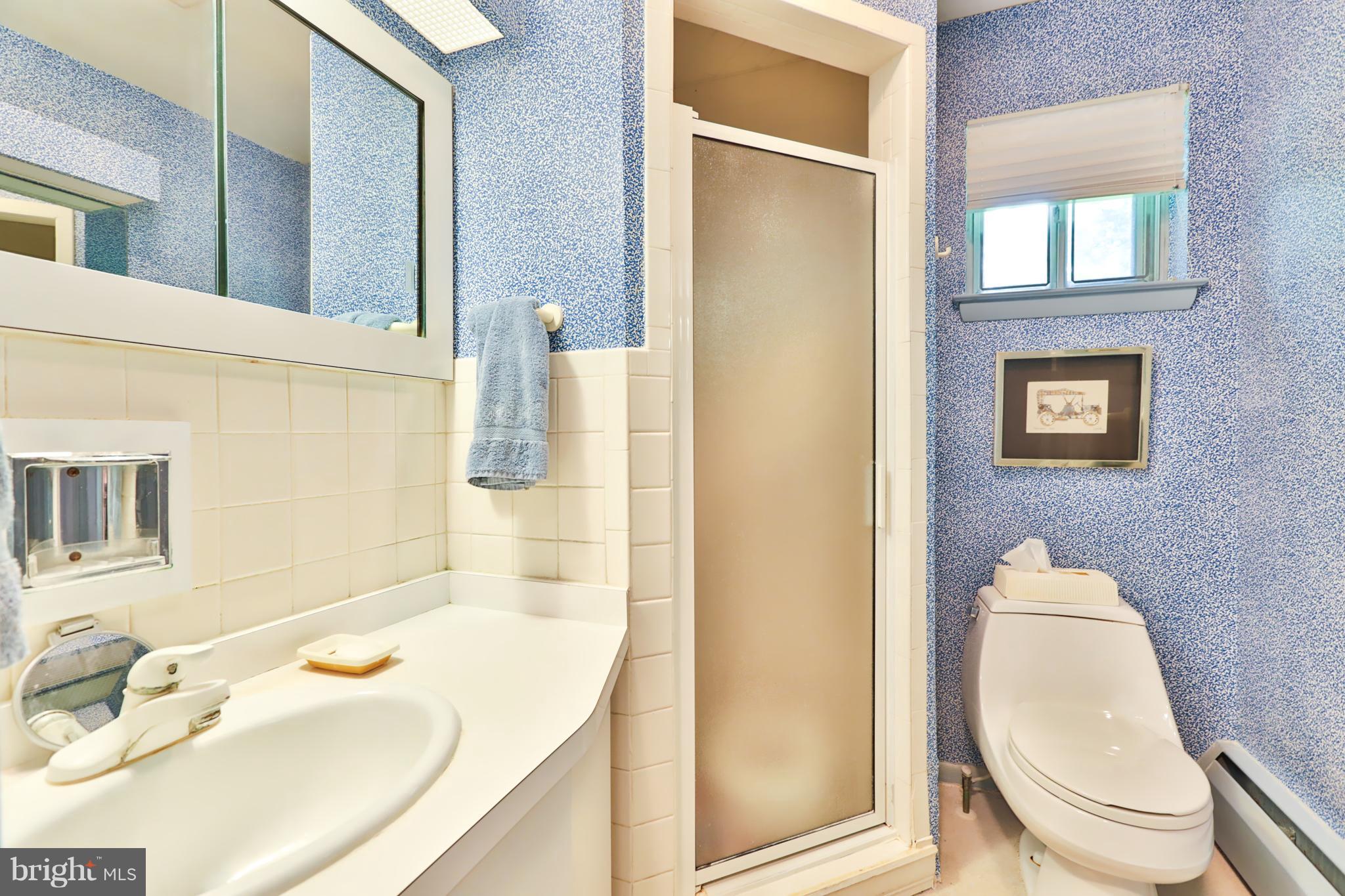 8207 Anita Road Baltimore, MD 21208 - Photo 20 of 28 Bath (Master)