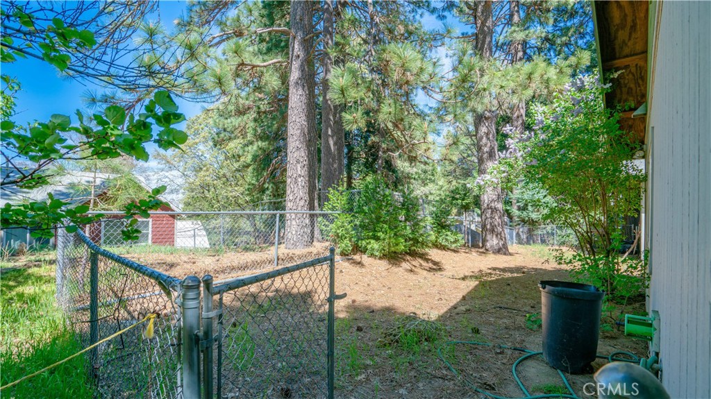 22070 Big Oak Road Cedarpines Park, CA 92322 - Photo 52 of 58 a view of a backyard with plants