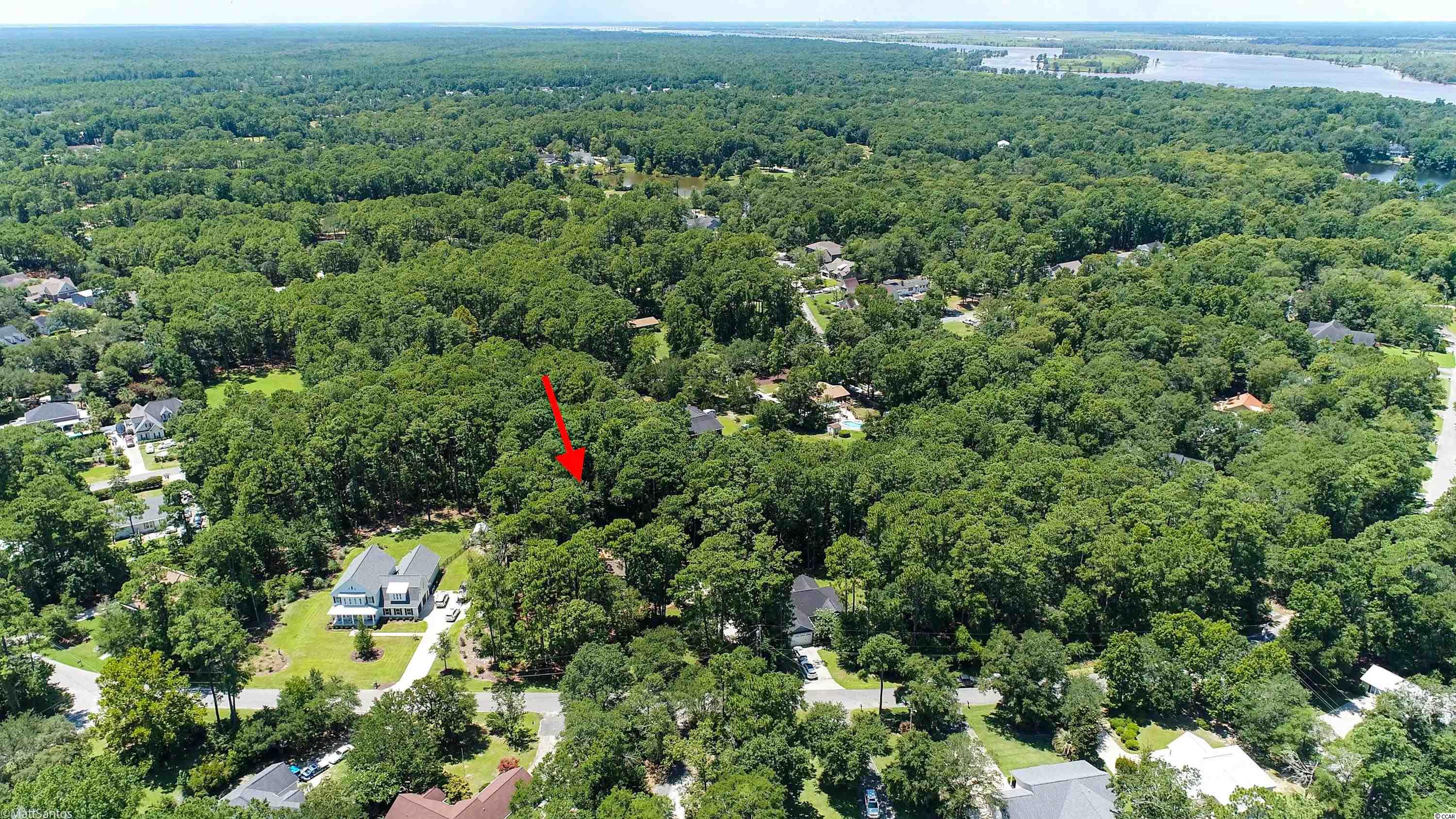 133 Otter Run Road Pawleys Island, SC 29585 - Photo 35 of 40