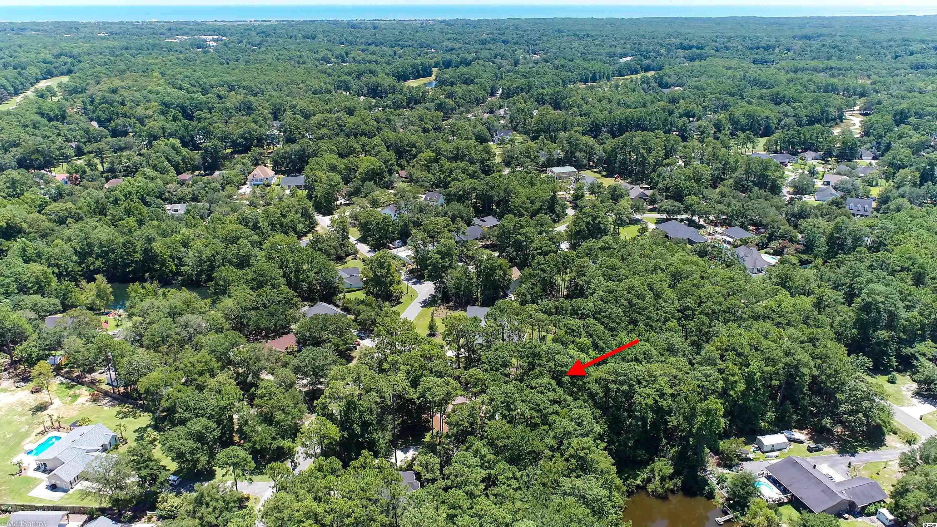 133 Otter Run Road Pawleys Island, SC 29585 - Photo 37 of 40