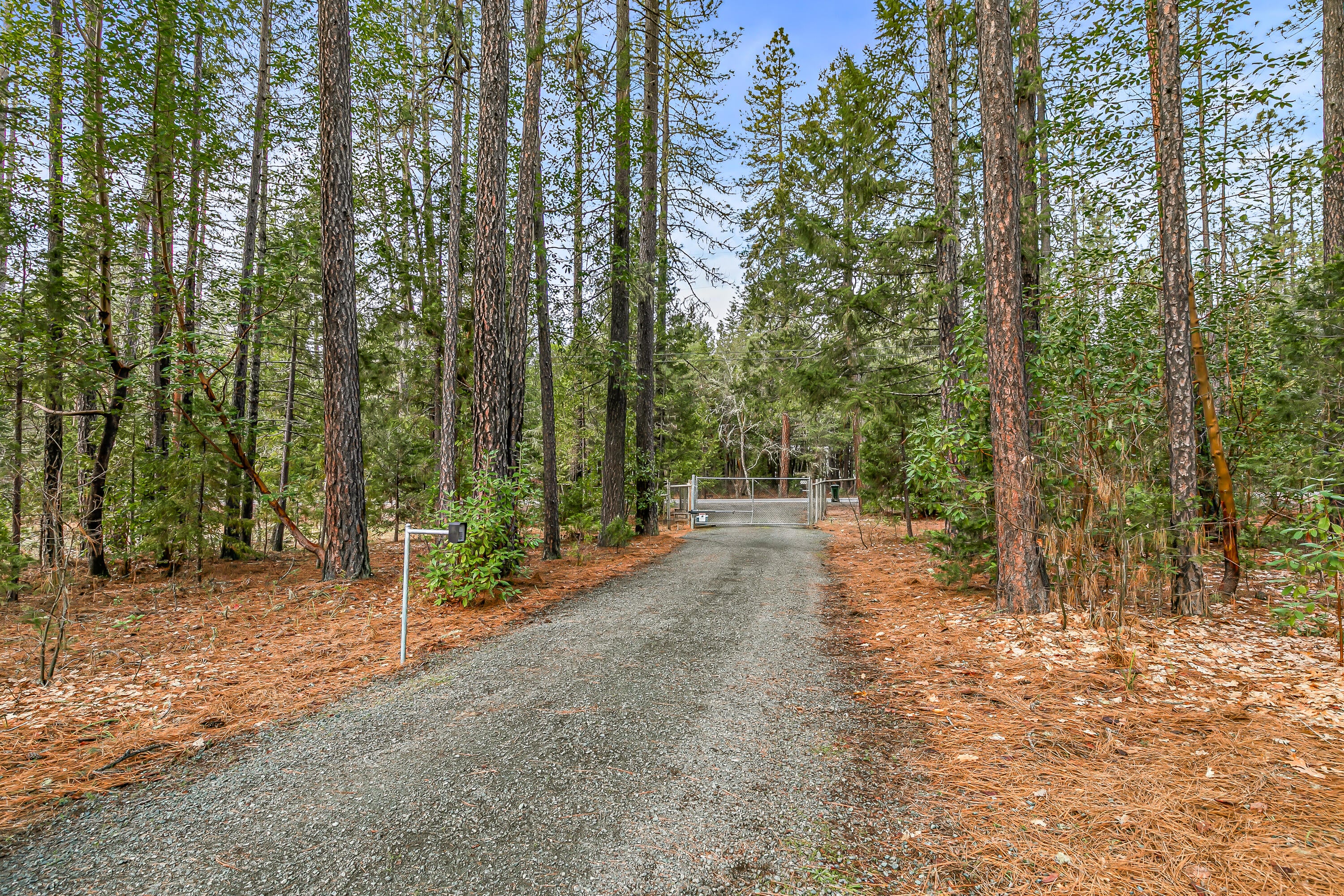 3610 Pleasant Creek Road Rogue River, OR 97537 - Photo 94 of 110 9R9A7247
