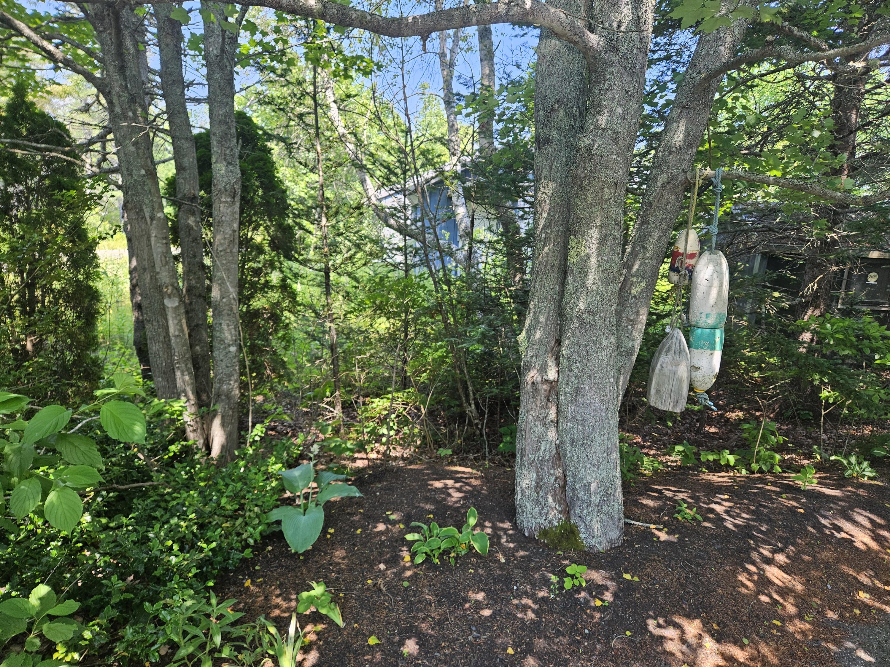 541 Mason Bay Road Jonesport, ME 04649 - Photo 61 of 92