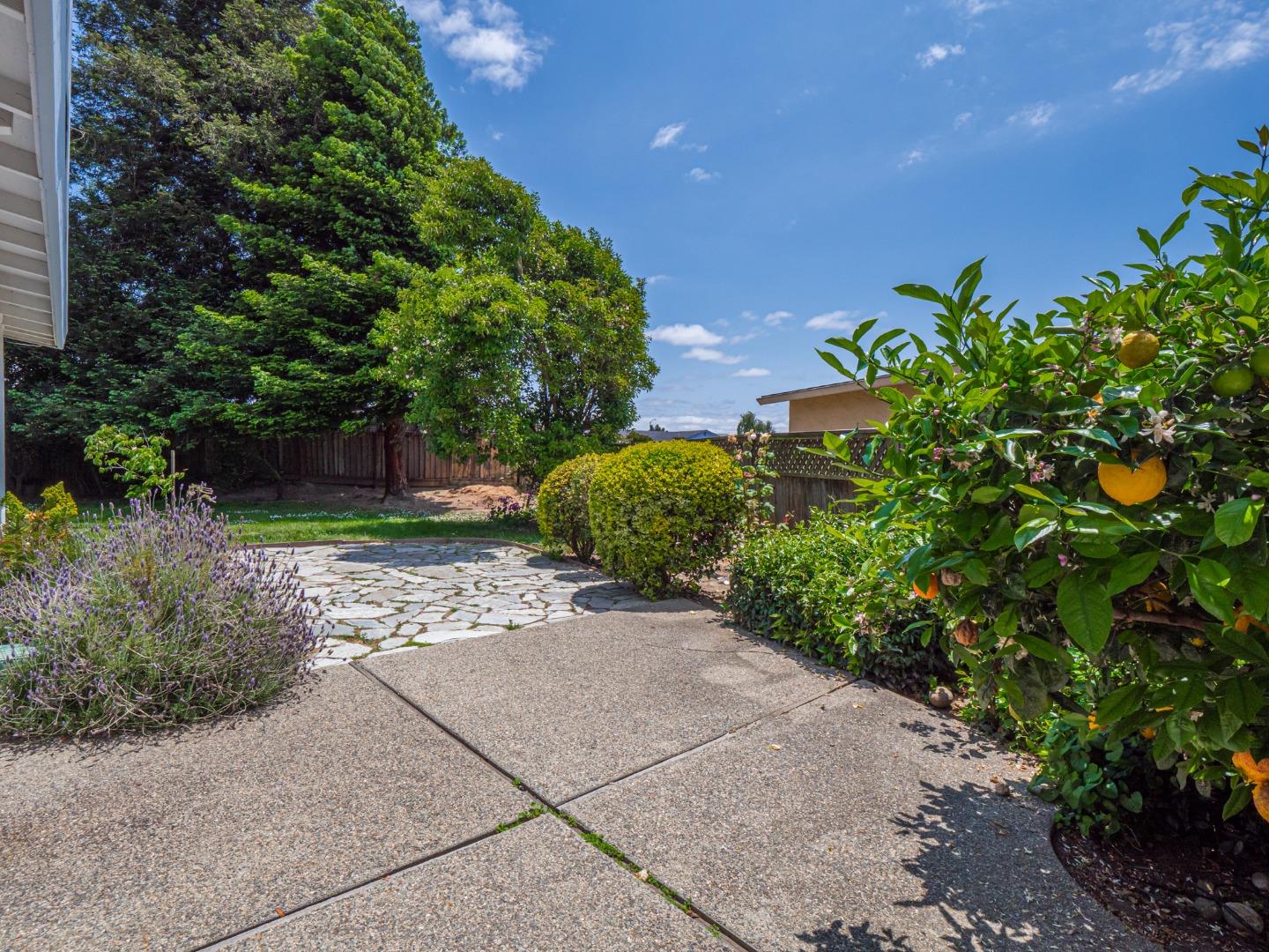 450 Spruce Circle Watsonville, CA 95076 - Photo 3 of 30 a backyard of a house with lots of green space