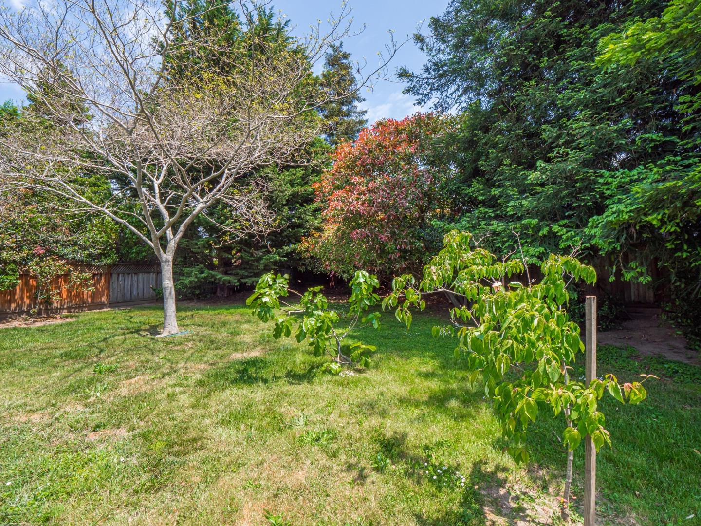 450 Spruce Circle Watsonville, CA 95076 - Photo 8 of 30 a backyard of a house with lots of green space and fountain