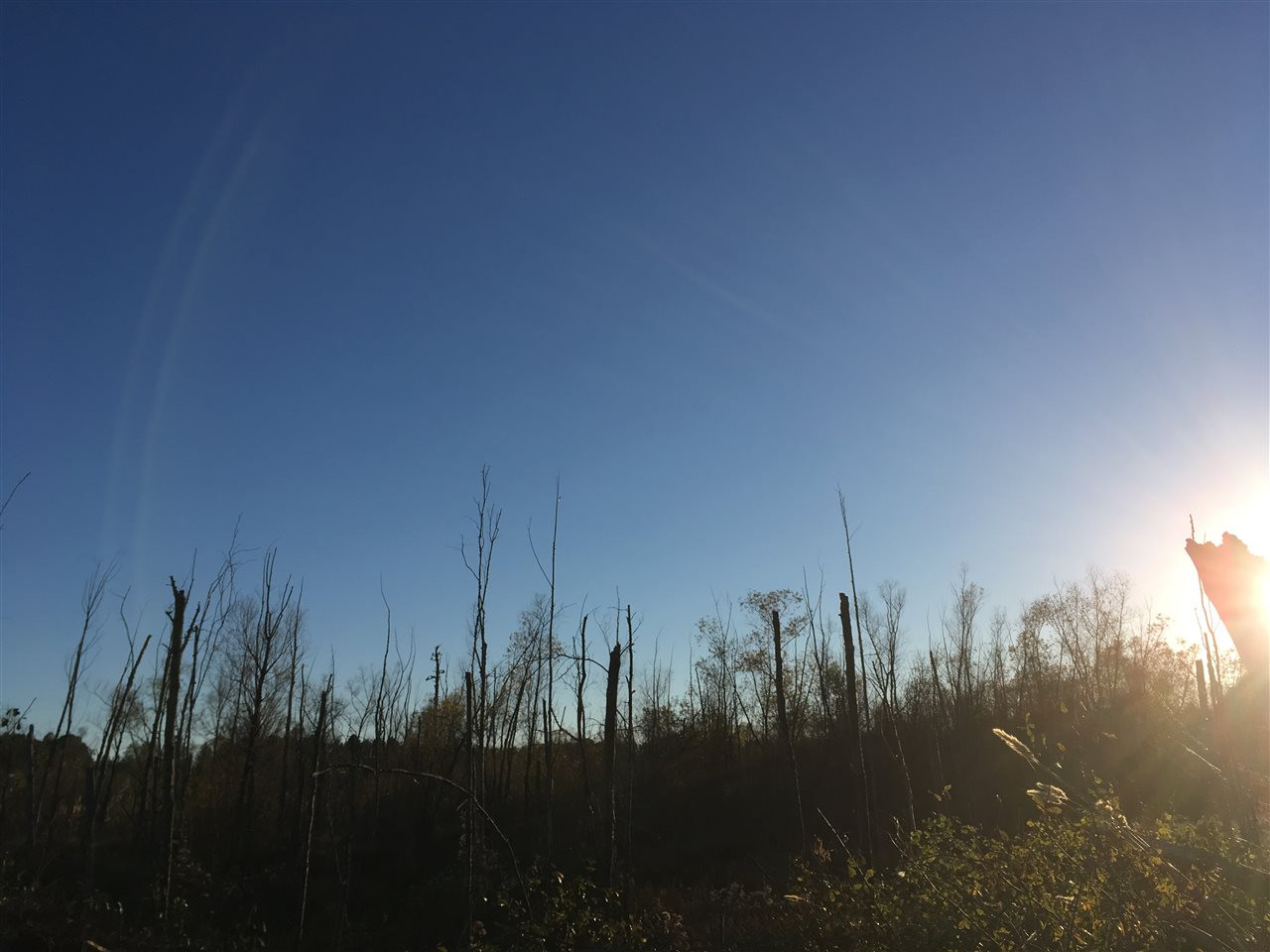 0 Turner Road Forest, MS 39074 - Photo 1 of 14 Photo 1
