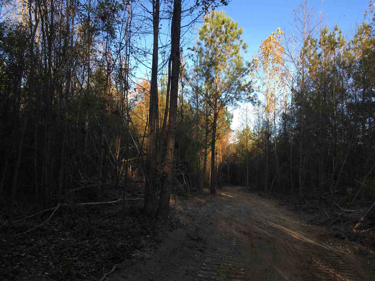 0 Turner Road Forest, MS 39074 - Photo 11 of 14 Photo 11