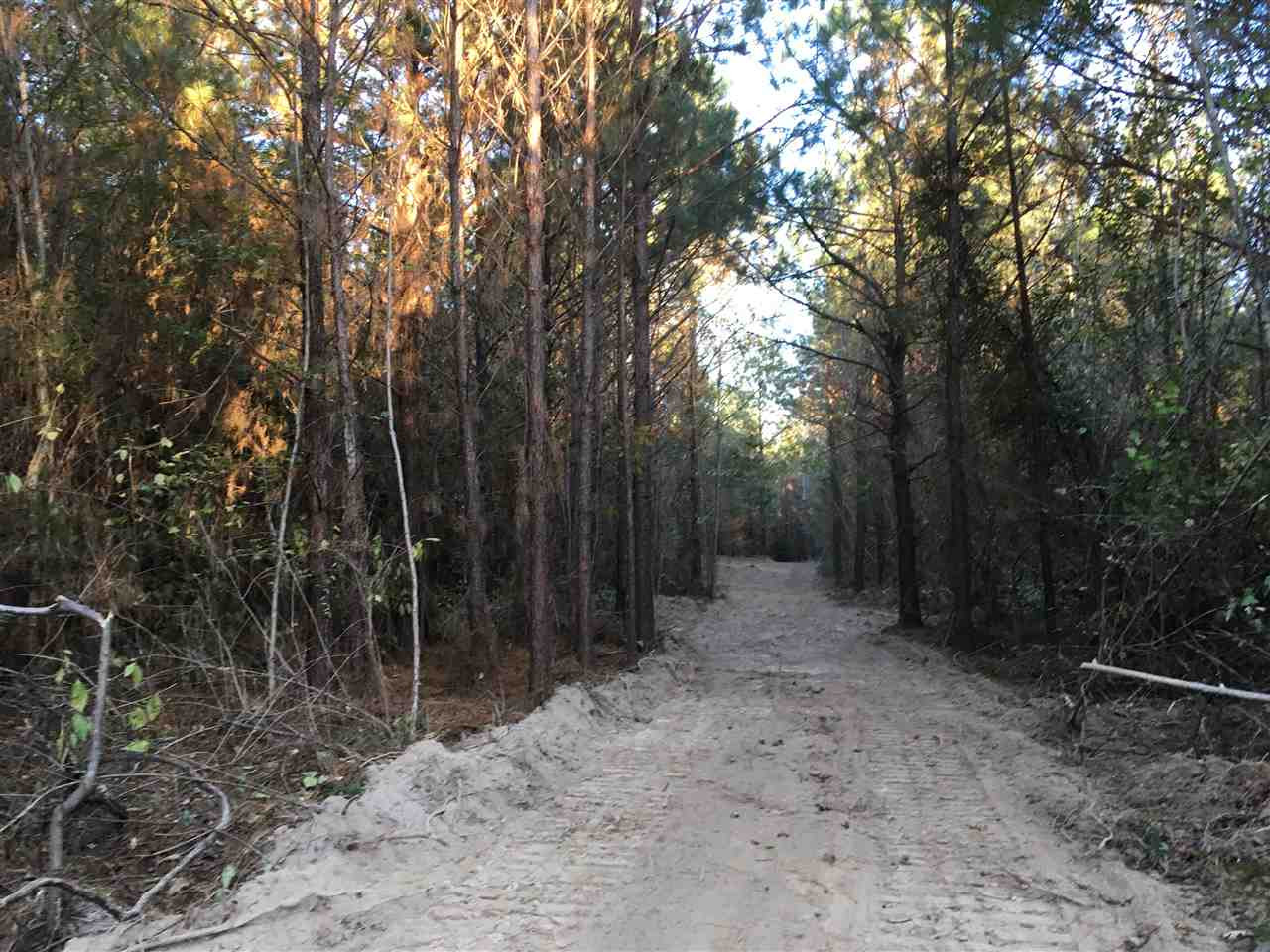 0 Turner Road Forest, MS 39074 - Photo 12 of 14 Photo 12