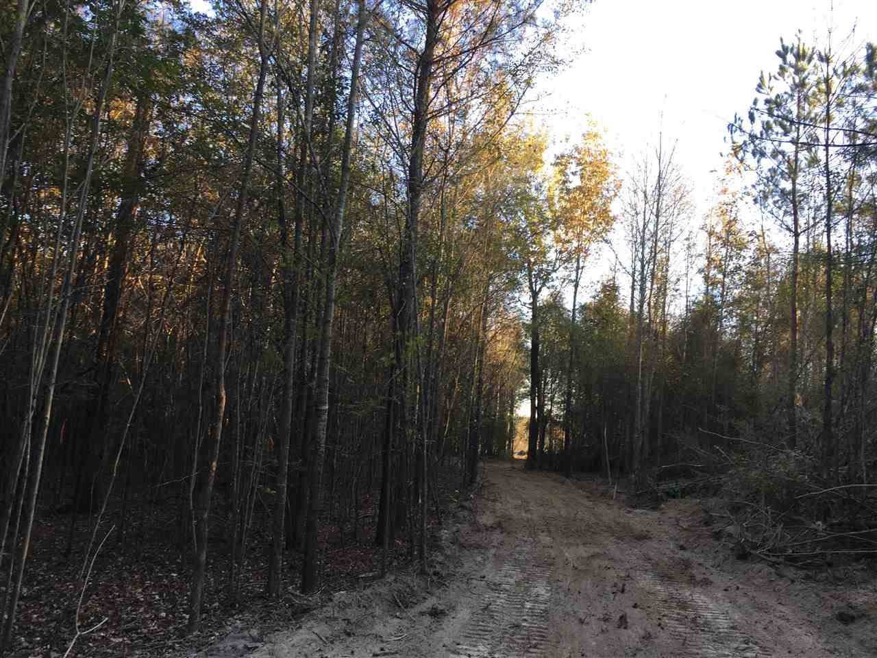 0 Turner Road Forest, MS 39074 - Photo 13 of 14 Photo 13
