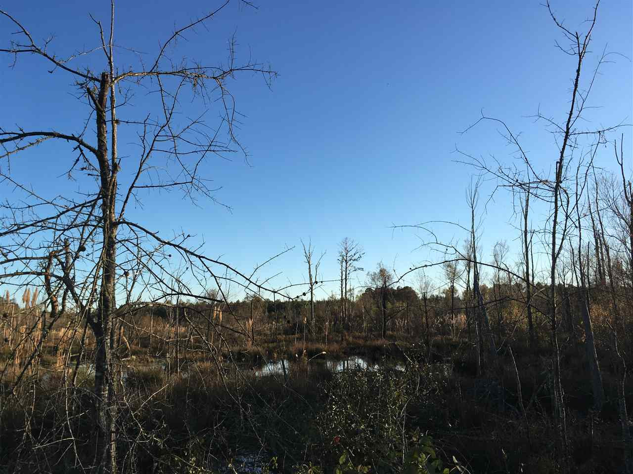 0 Turner Road Forest, MS 39074 - Photo 2 of 14 Photo 2