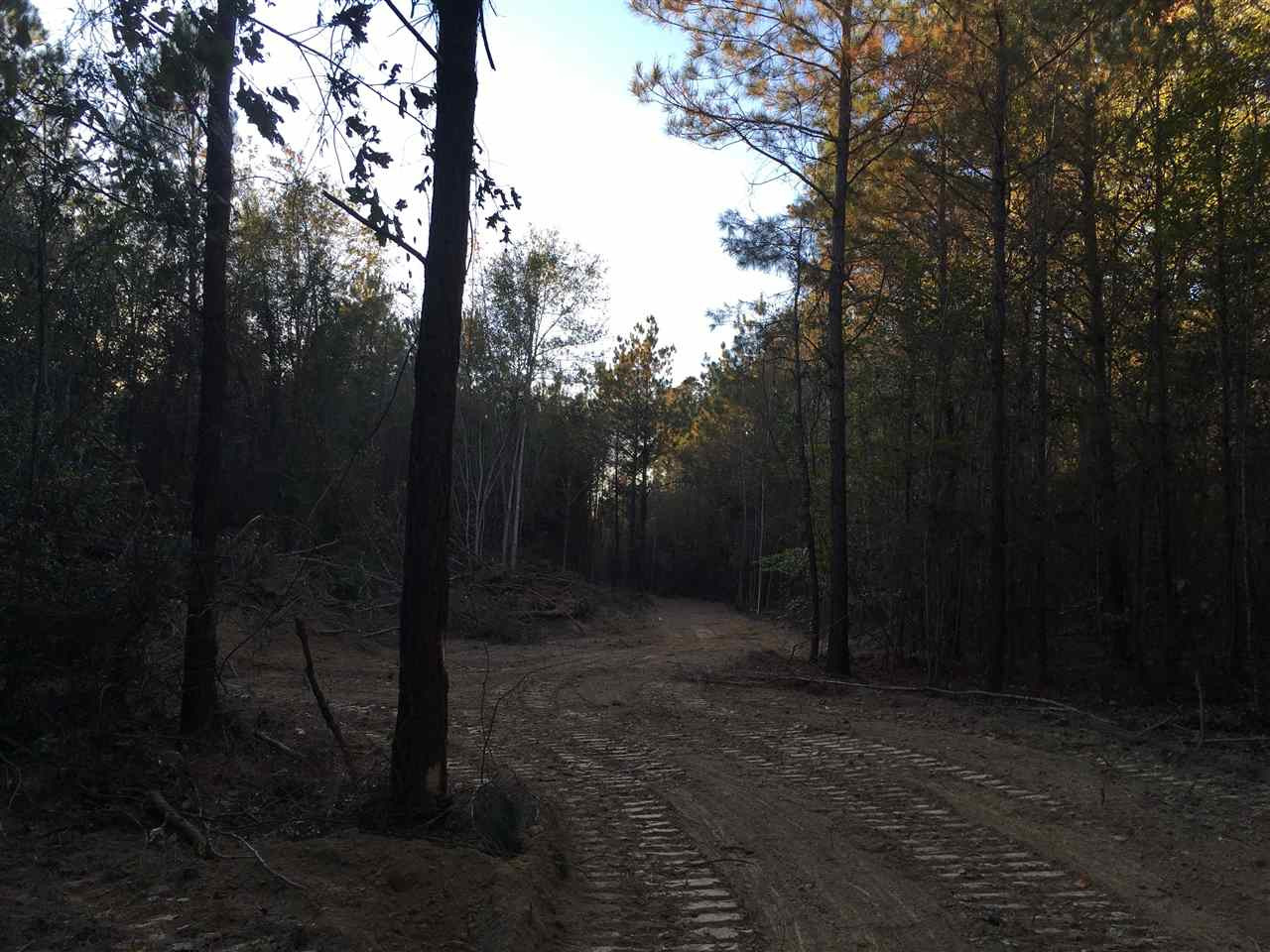 0 Turner Road Forest, MS 39074 - Photo 3 of 14 Photo 3
