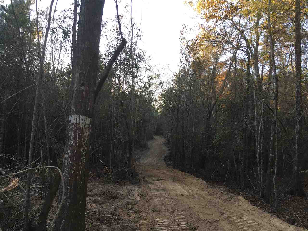 0 Turner Road Forest, MS 39074 - Photo 4 of 14 Photo 4