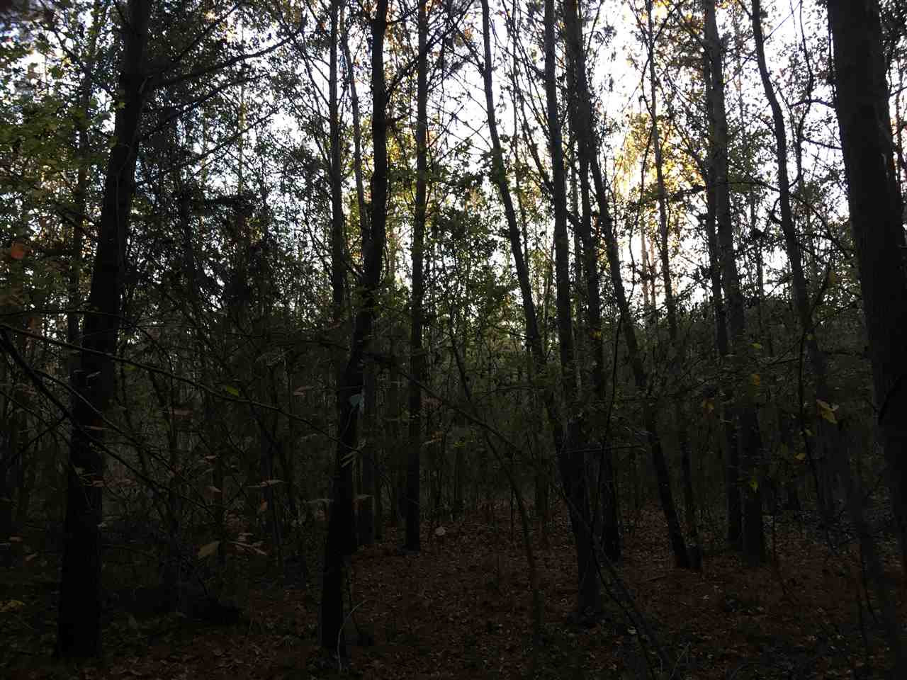0 Turner Road Forest, MS 39074 - Photo 5 of 14 Photo 5