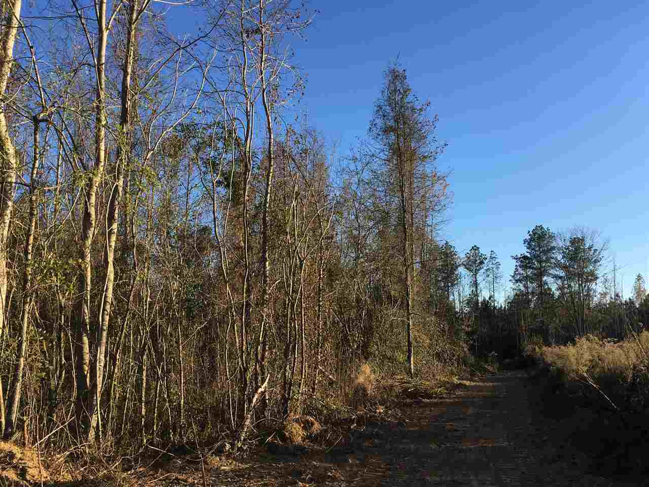 0 Turner Road Forest, MS 39074 - Photo 7 of 14 Photo 7