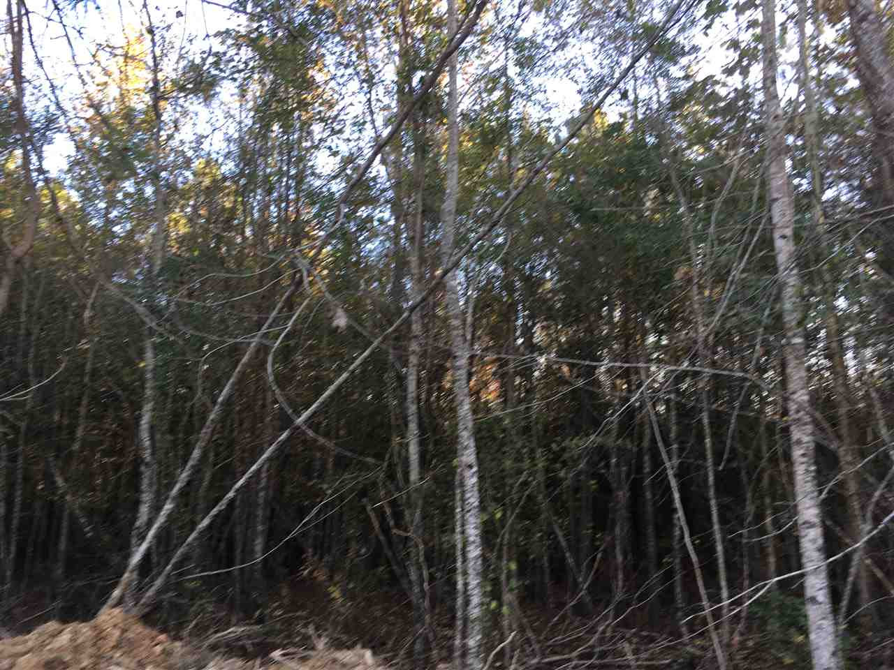 0 Turner Road Forest, MS 39074 - Photo 8 of 14 Photo 8