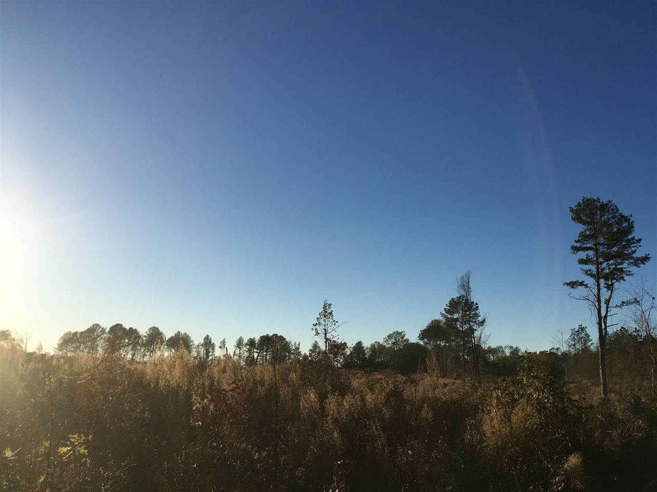 0 Turner Road Forest, MS 39074 - Photo 9 of 14 Photo 9