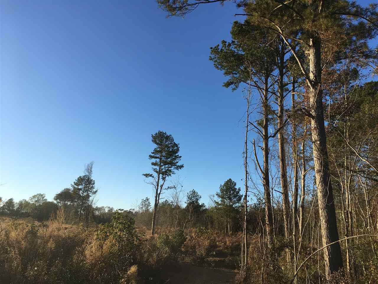 0 Turner Road Forest, MS 39074 - Photo 10 of 14 Photo 10