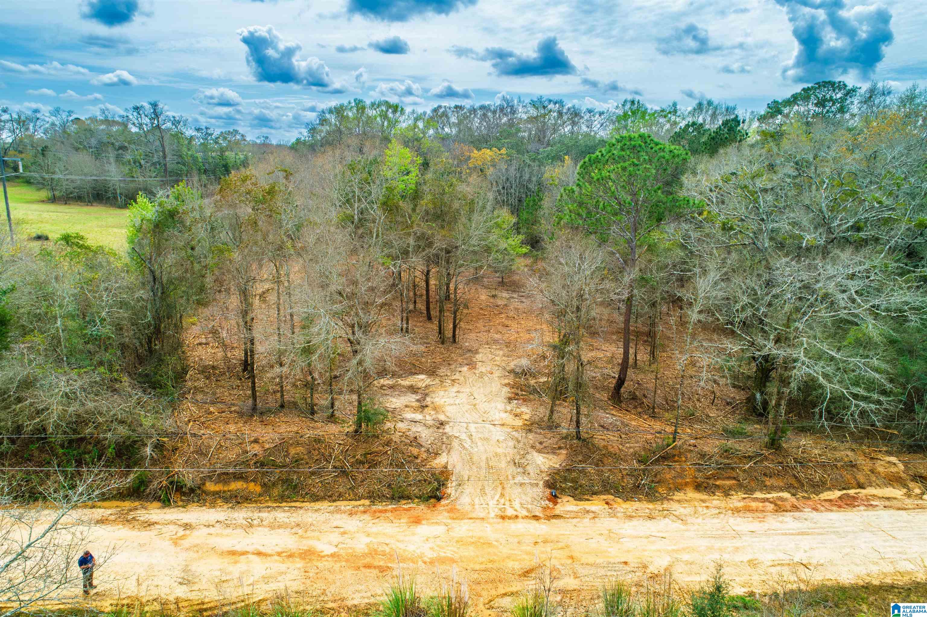 27180 Deer Run Road Opp, AL 36467 - Photo 20 of 60