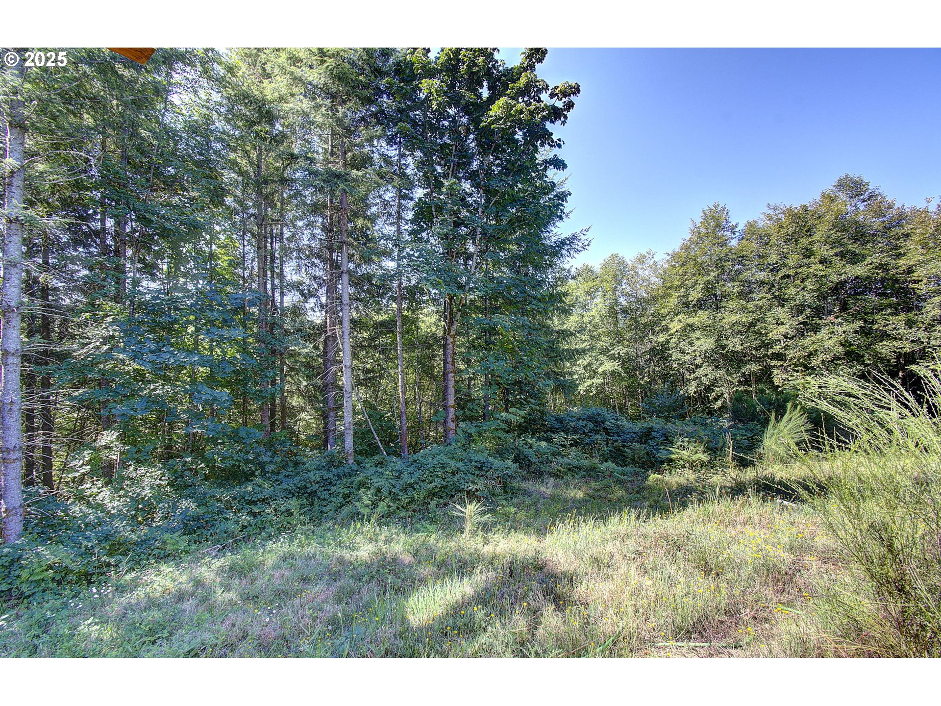 281 Bald Eagle Road Ariel, WA 98603 - Photo 21 of 25 Gallery Image 21