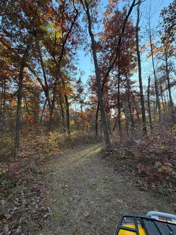 $85,000 | V/l Maple Hill Road, Unit PARCEL D, Howard City, MI 49329