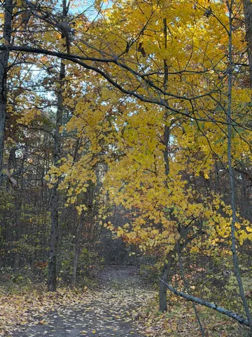 $85,000 | V/l Maple Hill Road, Unit PARCEL D, Howard City, MI 49329