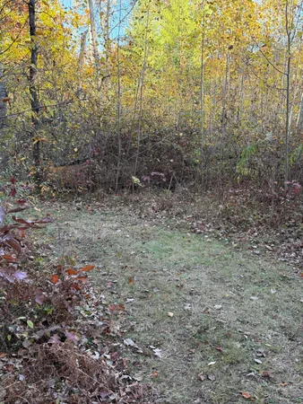 $85,000 | V/l Maple Hill Road, Unit PARCEL D, Howard City, MI 49329