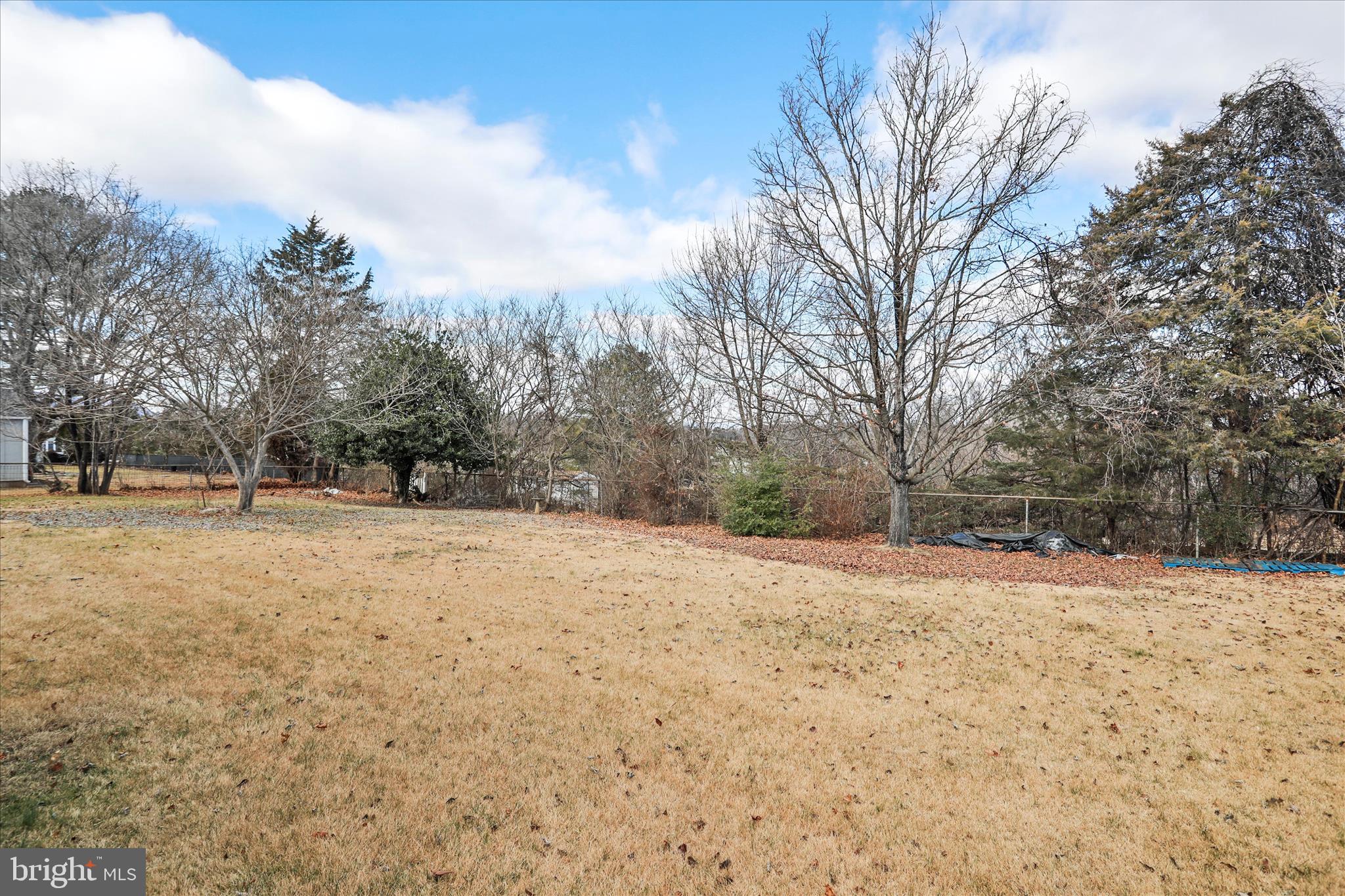 425 West 15th Street Front Royal, VA 22630 - Photo 42 of 47 a view of empty space with trees