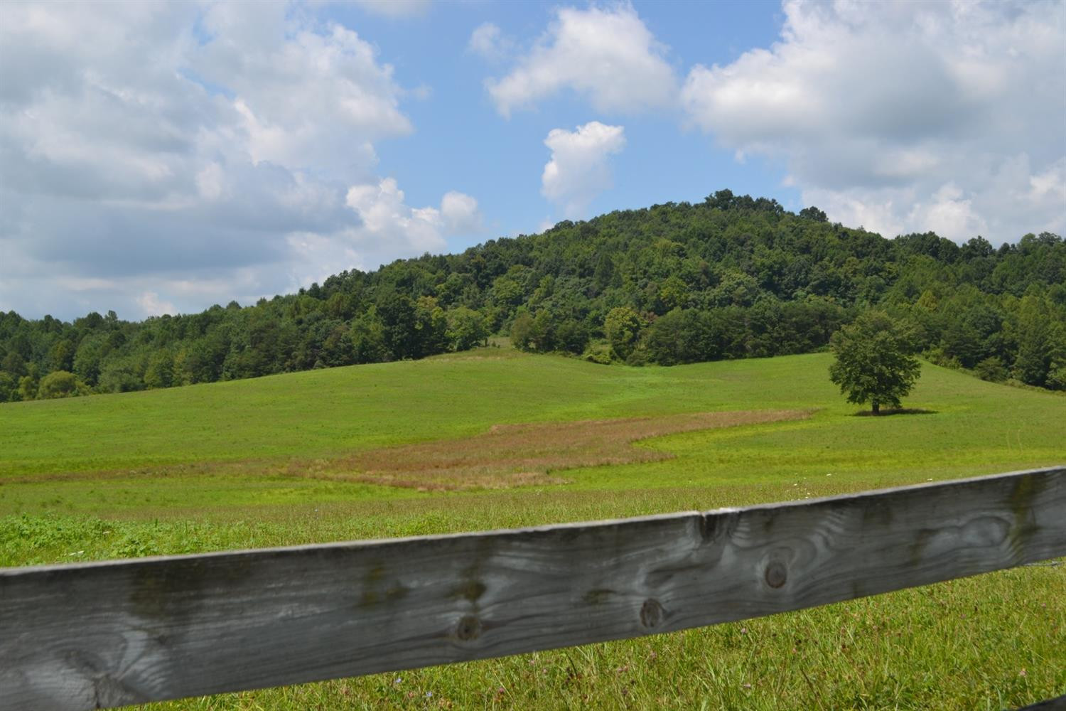 111 Barbourville Road London, KY 40744 - Photo 11 of 15 Listing Photo