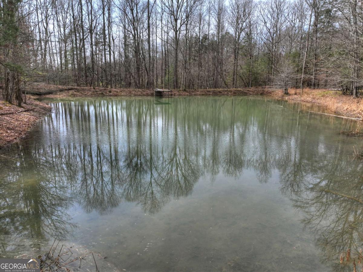 8.52-ac Mcnelley Road Morganton, GA 30560 - Photo 12 of 58