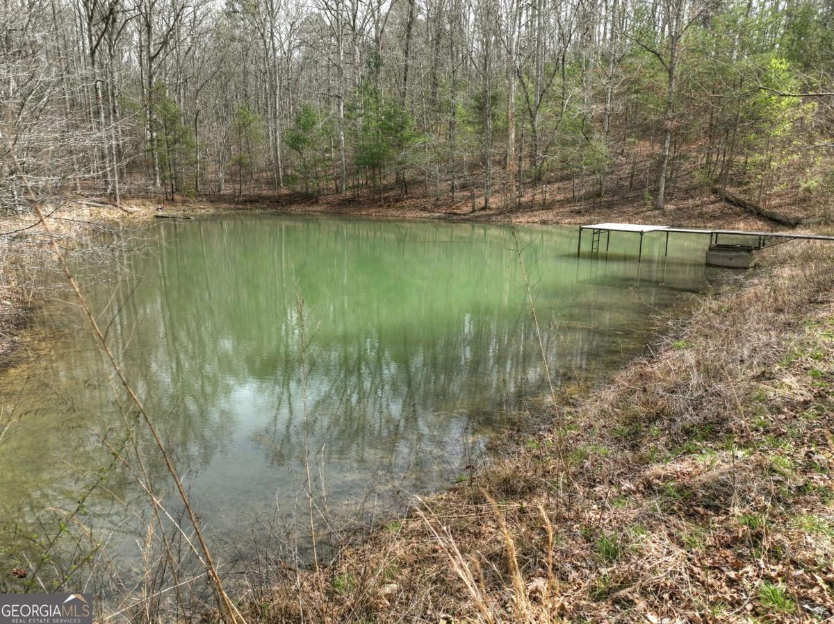 8.52-ac Mcnelley Road Morganton, GA 30560 - Photo 15 of 58