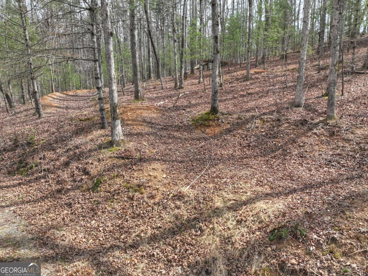 8.52-ac Mcnelley Road Morganton, GA 30560 - Photo 16 of 58