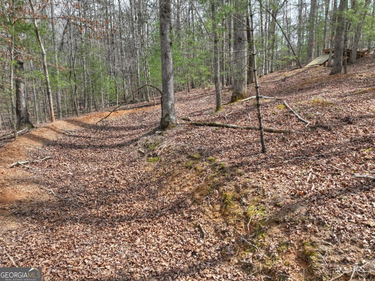 8.52-ac Mcnelley Road Morganton, GA 30560 - Photo 17 of 58