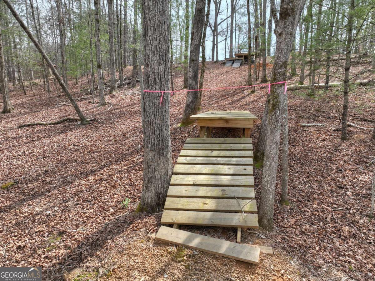 8.52-ac Mcnelley Road Morganton, GA 30560 - Photo 18 of 58