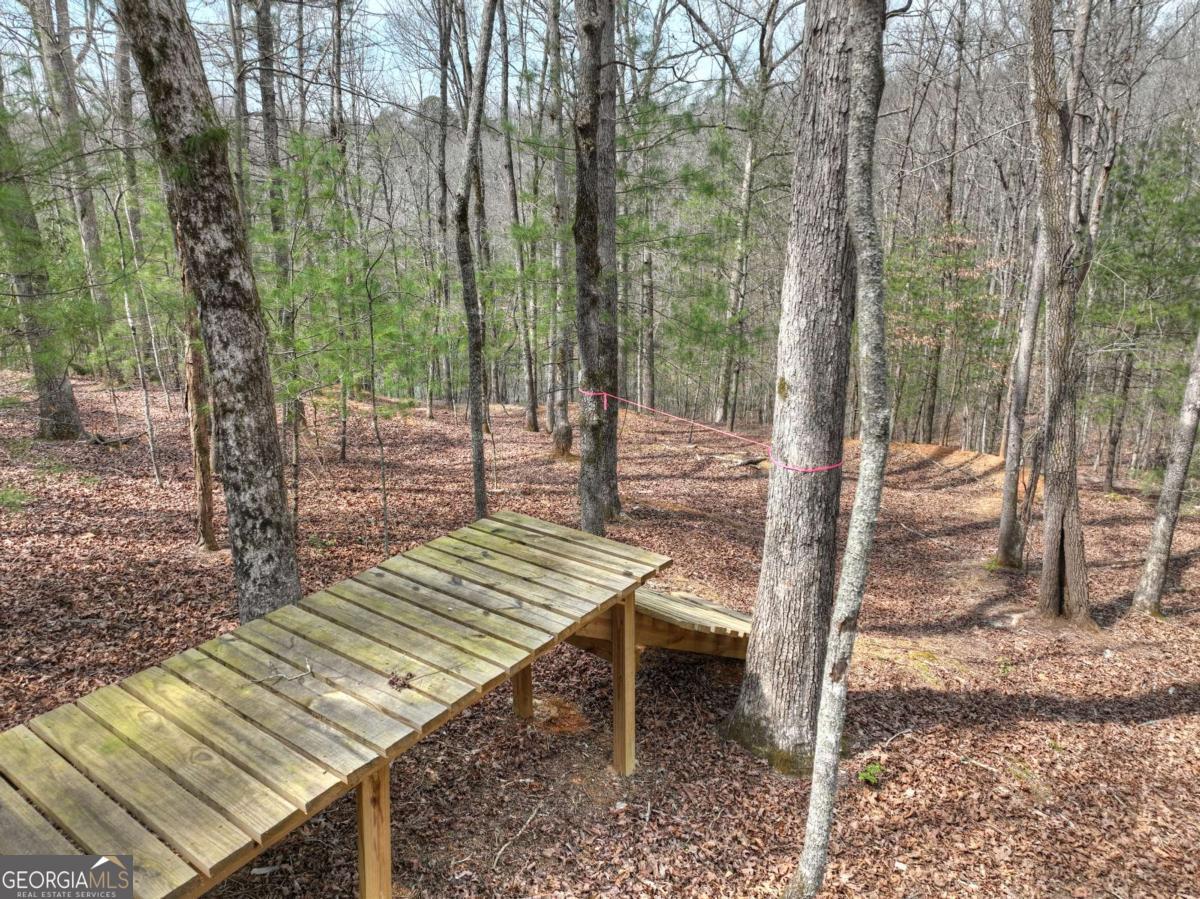 8.52-ac Mcnelley Road Morganton, GA 30560 - Photo 19 of 58