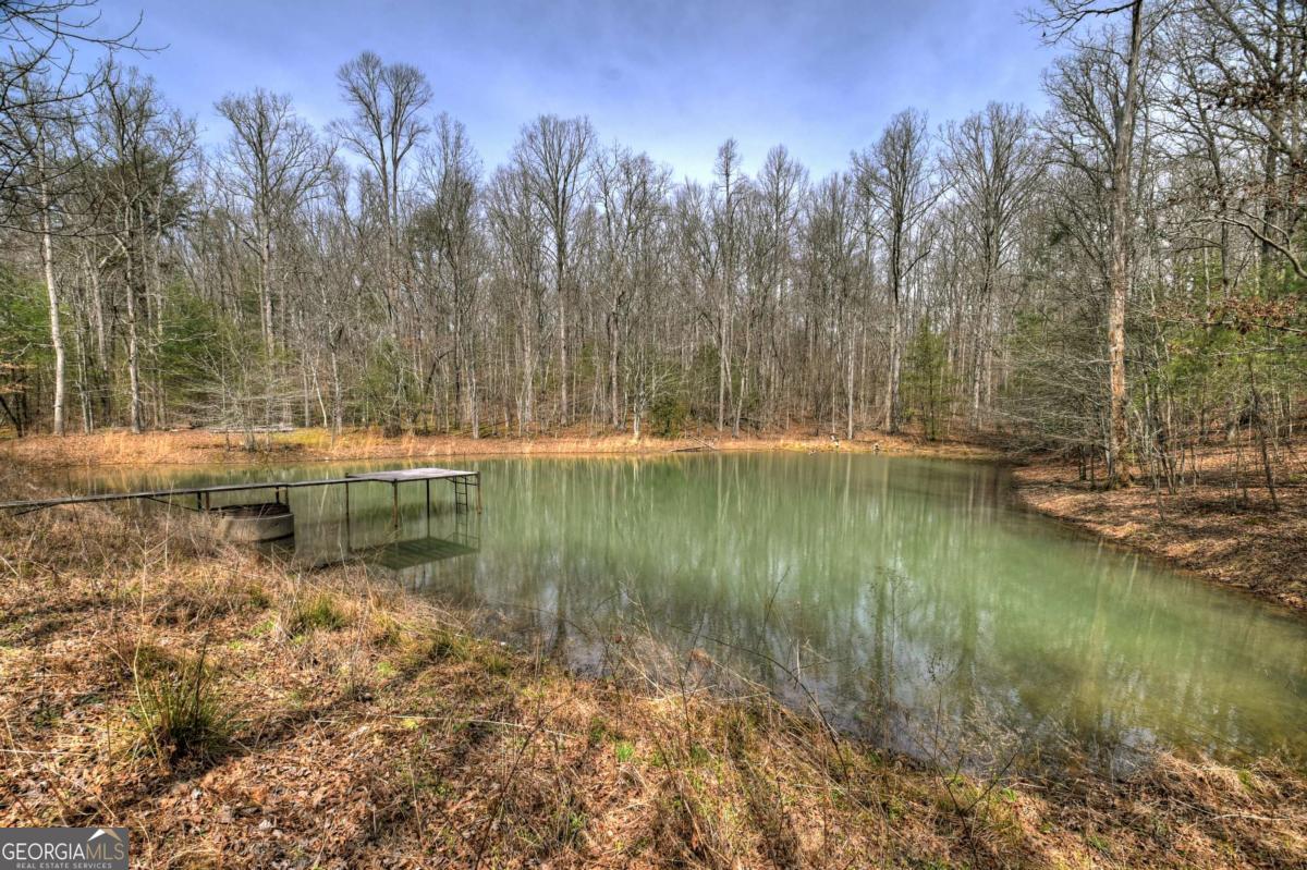 8.52-ac Mcnelley Road Morganton, GA 30560 - Photo 2 of 58