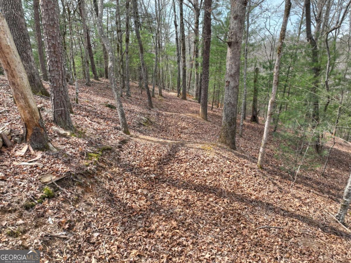 8.52-ac Mcnelley Road Morganton, GA 30560 - Photo 21 of 58