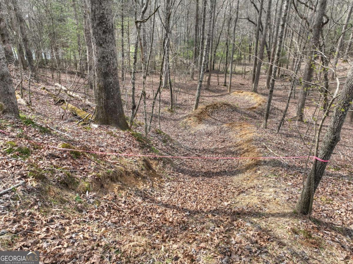 8.52-ac Mcnelley Road Morganton, GA 30560 - Photo 24 of 58