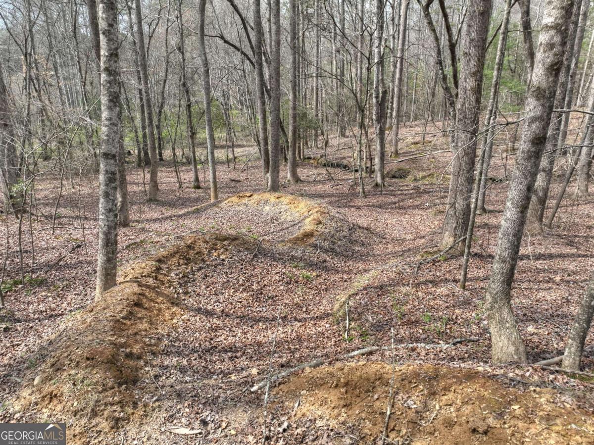 8.52-ac Mcnelley Road Morganton, GA 30560 - Photo 25 of 58