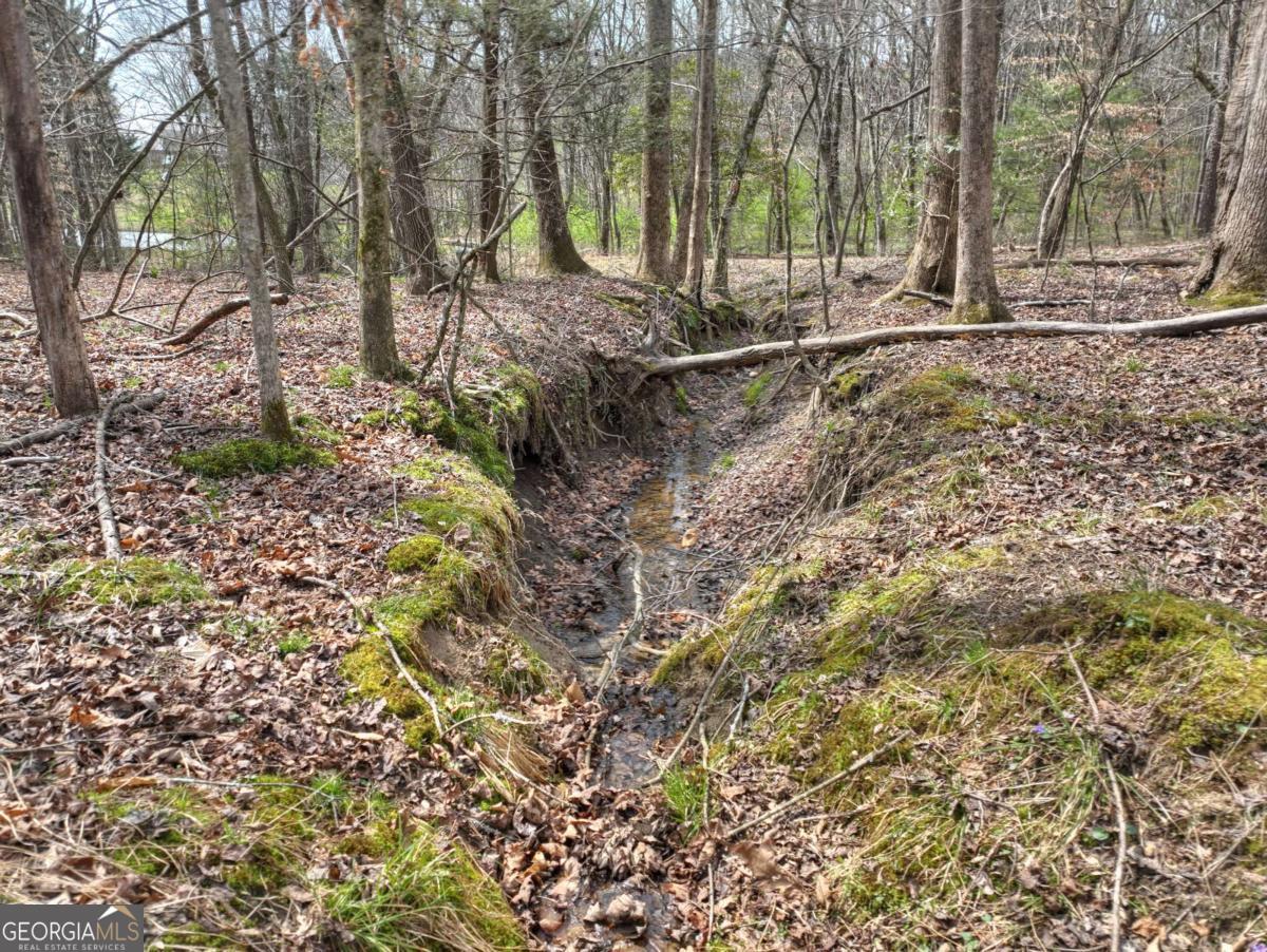 8.52-ac Mcnelley Road Morganton, GA 30560 - Photo 26 of 58