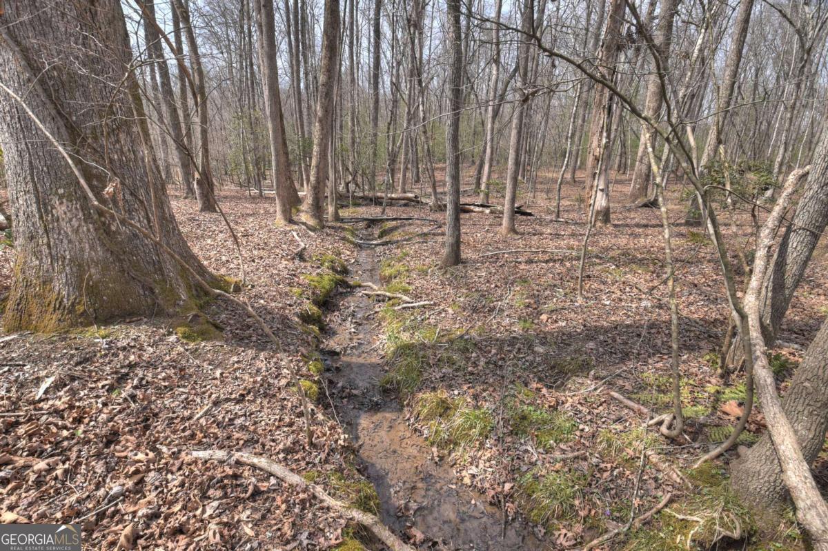 8.52-ac Mcnelley Road Morganton, GA 30560 - Photo 28 of 58