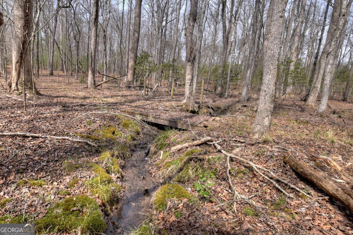 8.52-ac Mcnelley Road Morganton, GA 30560 - Photo 29 of 58