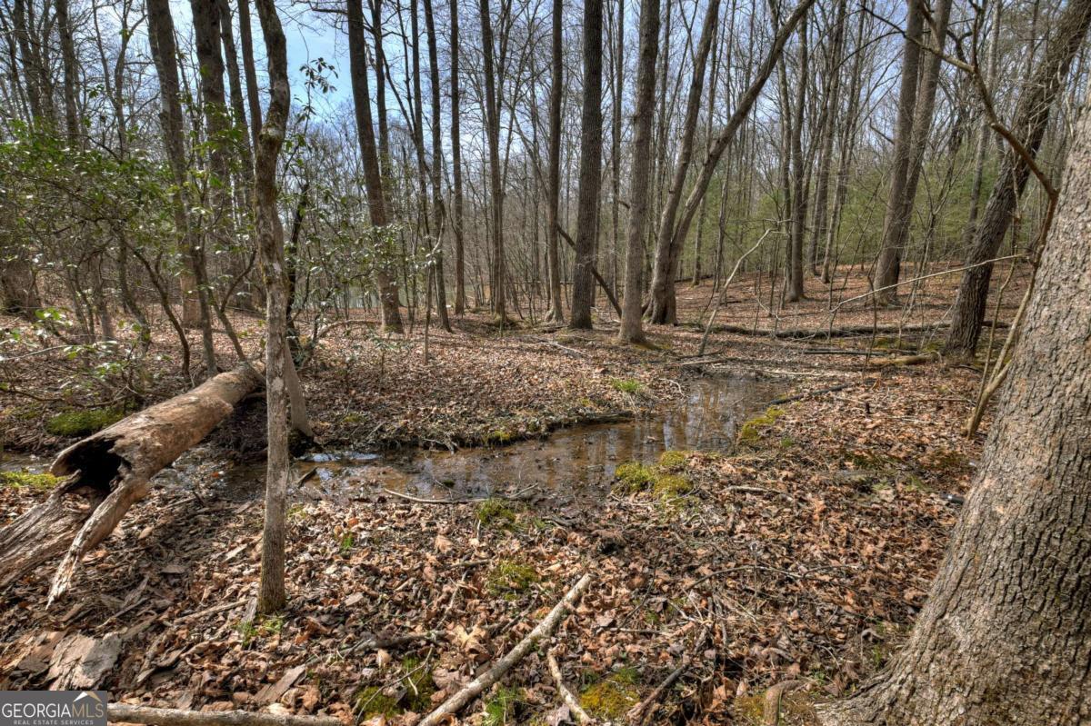 8.52-ac Mcnelley Road Morganton, GA 30560 - Photo 30 of 58