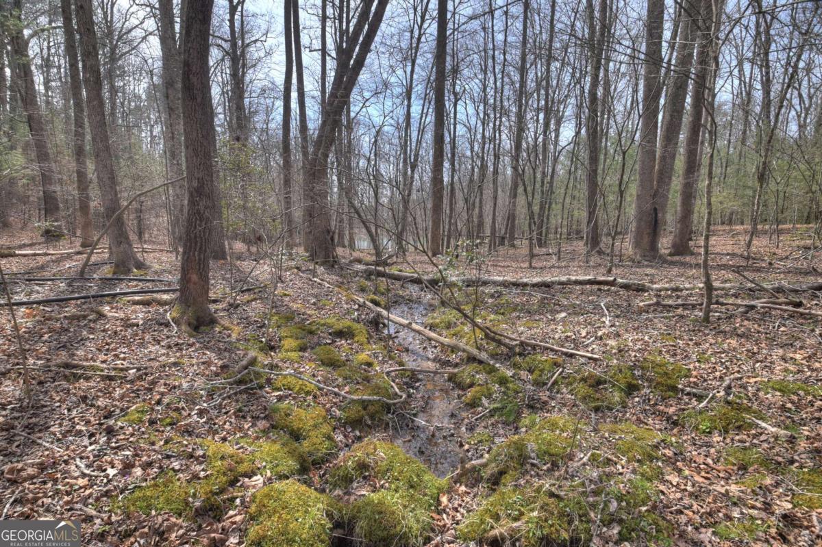 8.52-ac Mcnelley Road Morganton, GA 30560 - Photo 31 of 58