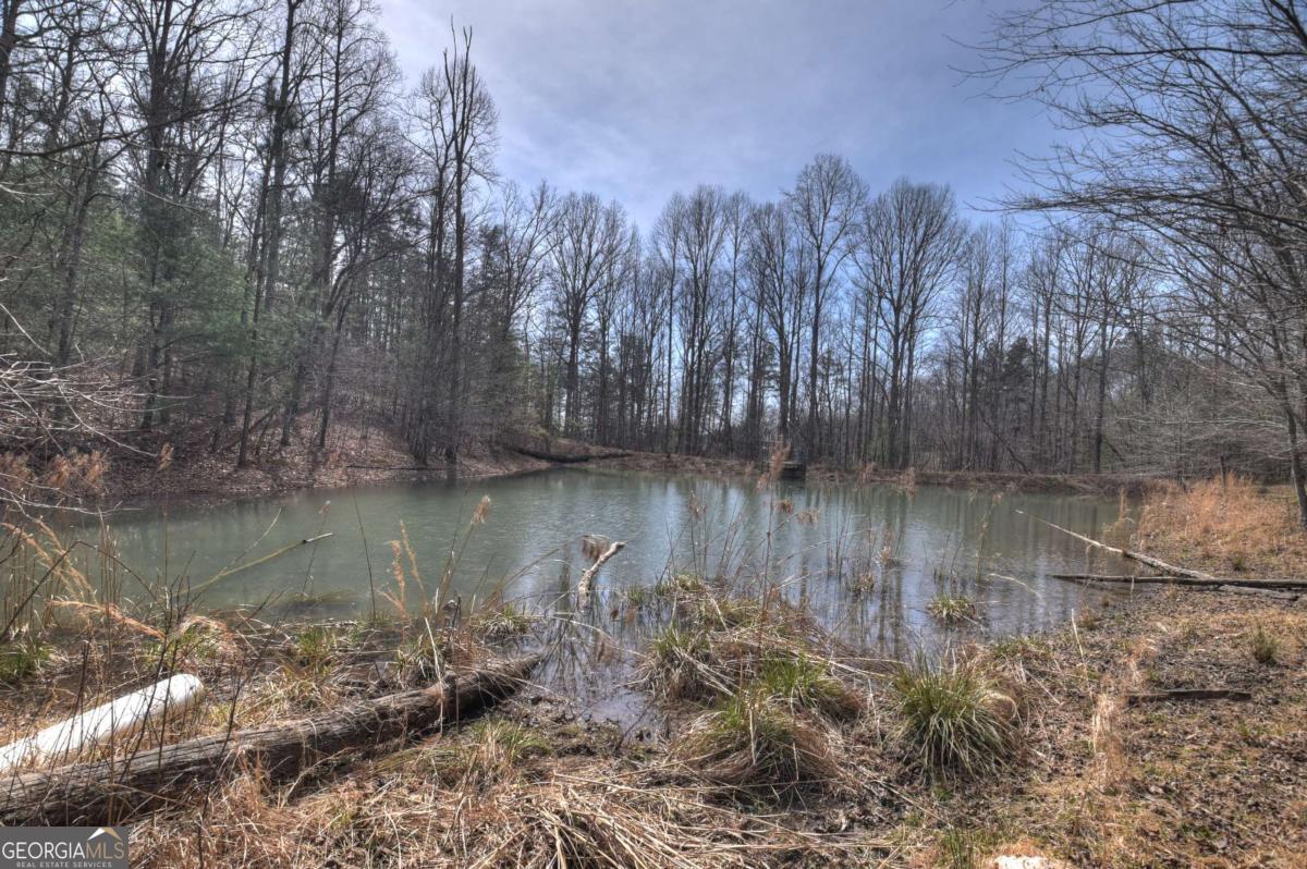 8.52-ac Mcnelley Road Morganton, GA 30560 - Photo 32 of 58