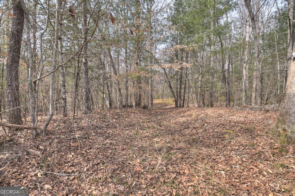 8.52-ac Mcnelley Road Morganton, GA 30560 - Photo 34 of 58