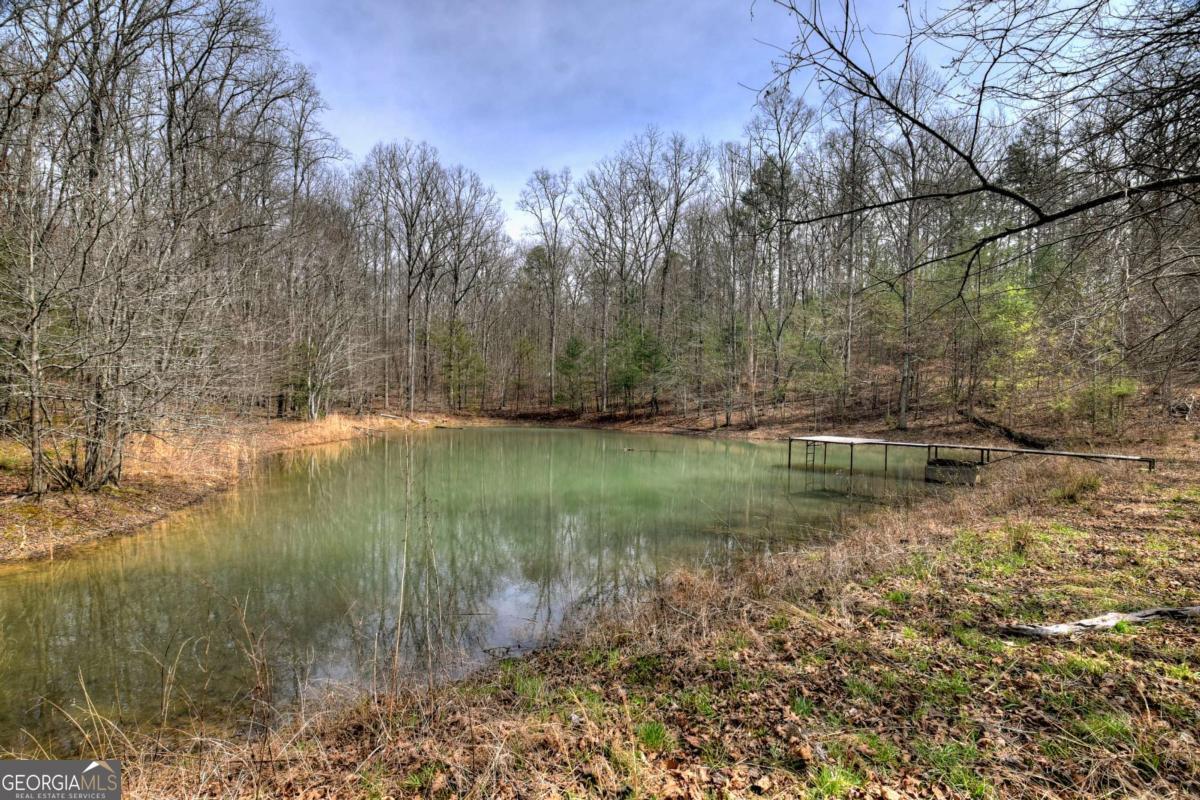 8.52-ac Mcnelley Road Morganton, GA 30560 - Photo 35 of 58