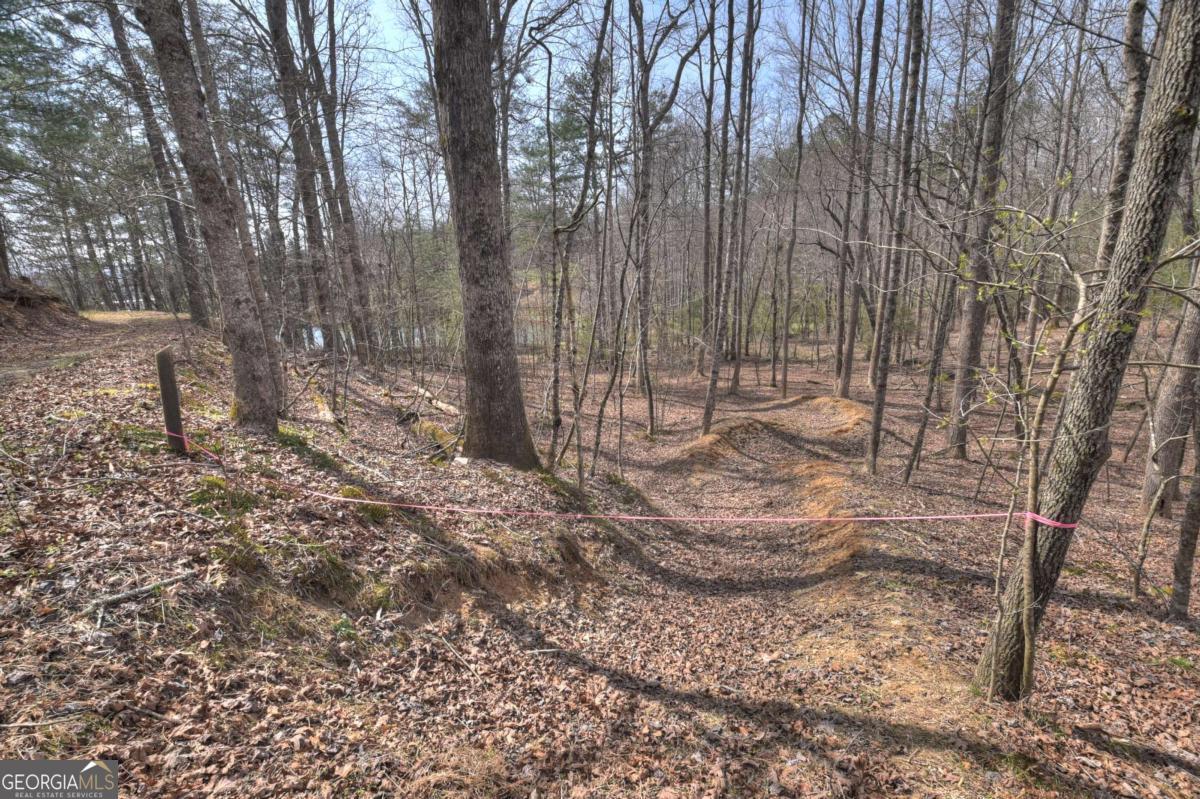 8.52-ac Mcnelley Road Morganton, GA 30560 - Photo 36 of 58