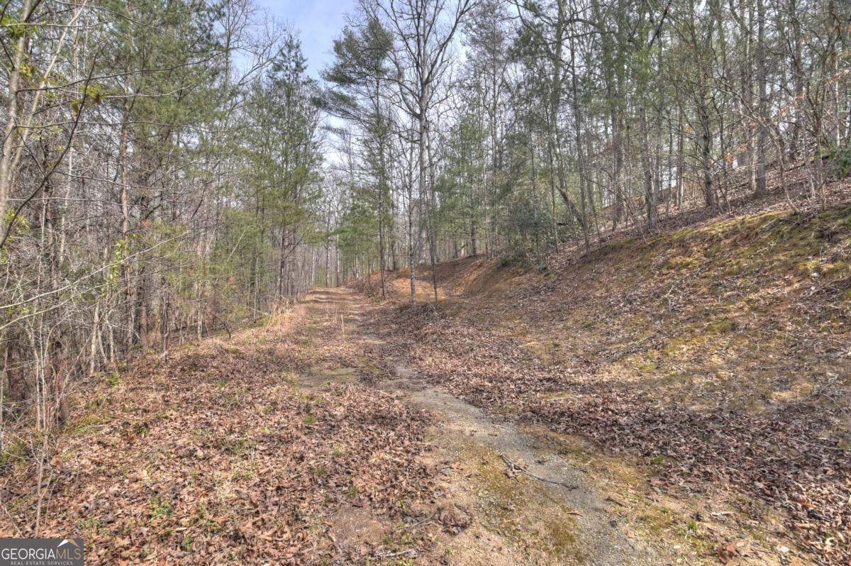 8.52-ac Mcnelley Road Morganton, GA 30560 - Photo 37 of 58