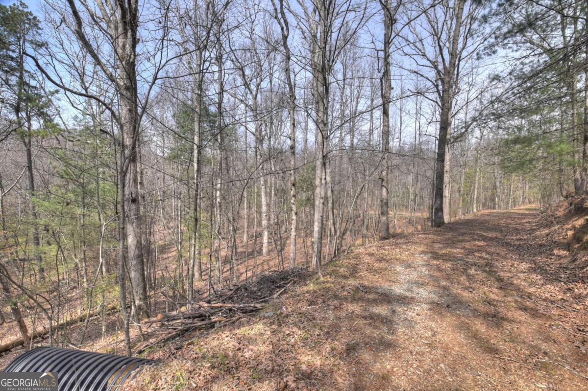 8.52-ac Mcnelley Road Morganton, GA 30560 - Photo 38 of 58