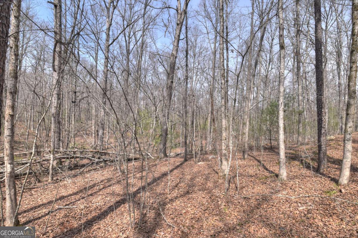 8.52-ac Mcnelley Road Morganton, GA 30560 - Photo 39 of 58