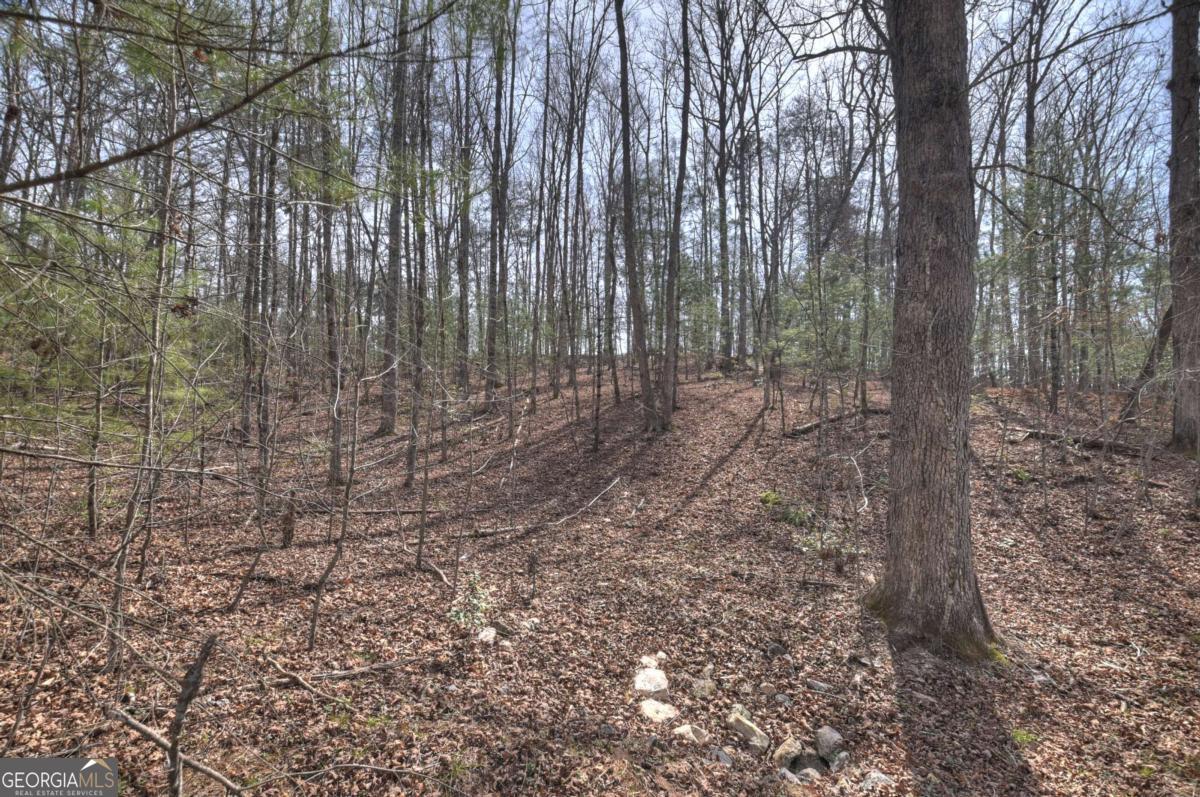 8.52-ac Mcnelley Road Morganton, GA 30560 - Photo 40 of 58